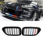 Решетки за BMW F10 / F11  (2010+) - двойни с три цвята