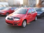 Дефлектор за преден капак за SKODA FABIA (2000+)